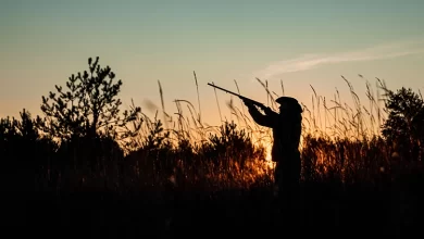 Av Döneminde Yurt Dışından Gelen Müslüman Olmayan Avcılara Ücretli Rehberlik Yapmak Caiz midir?