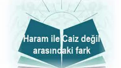 Câiz Değildir İle Harâm Arasında Bir Fark Var mıdır?