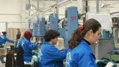 Kredi İle Açılmış Bir Fabrikada Çalışılır mı?