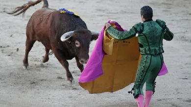 Boğa güreşi izlemek caiz midir?